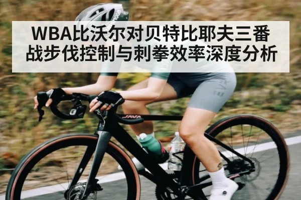 WBA比沃尔对贝特比耶夫三番战步伐控制与刺拳效率深度分析
